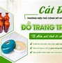 Công Ty Cổ Phần Xuất Nhập Khẩu Thủ Công Mỹ Nghệ Đông Thành Hà Nội