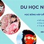 Điều Kiện Để Được Học Bổng Neu