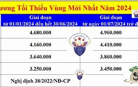 Mức Lương Tối Thiểu Vùng Tphcm 2024