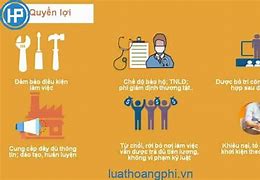 Người Lao Động Có Nghĩa Vụ Gì Đối Với Lao Động Chưa Thành Niên Làm Việc Ở Cơ Sở Mình